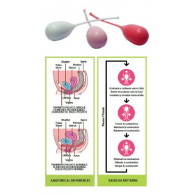 Pelvik Kit 3 Coni Vaginali