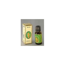 Lavanda Olio Essenziale 20ml