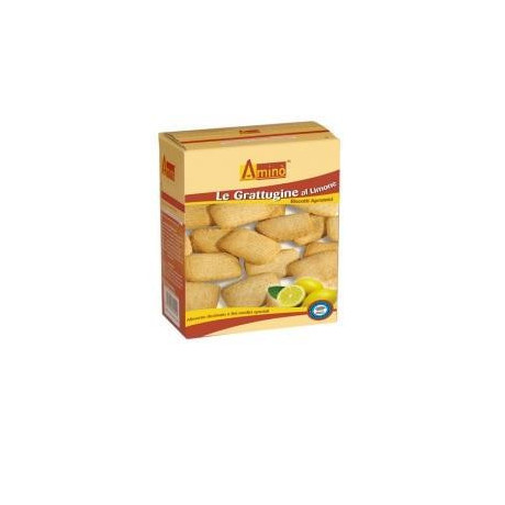 Amino Le Grattugine Limone200g