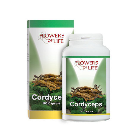 Cordyceps 100 Capsule Flowers Of Life