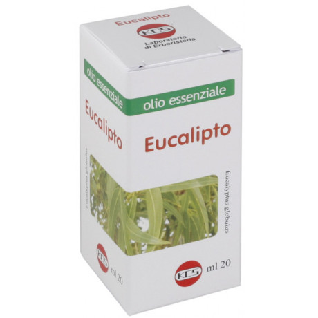 Eucalipto Olio Ess 20 ml