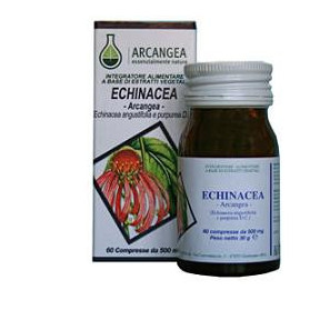 Echinacea 60 Capsule