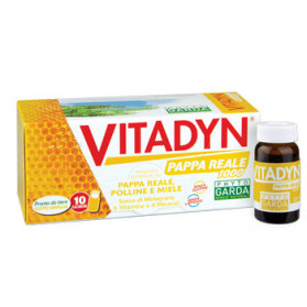 Vitadyn Pappa Reale 1000 10 Flaconcini 10 ml