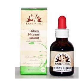 Fitoblasto Ribes Nigrum 50ml