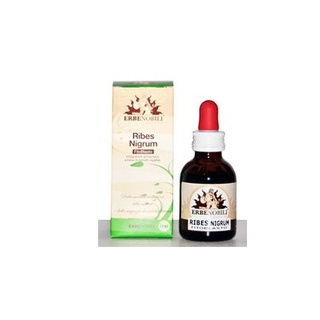 Fitoblasto Ribes Nigrum 50ml