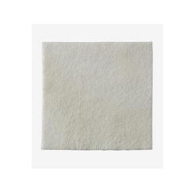 Biatain Alginate Medicazione Con Alginati Piastra 15x15 Cm 10 Pezzi