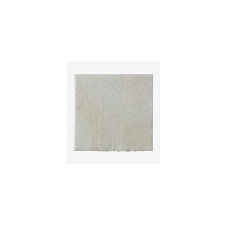 Biatain Alginate Medicazione Con Alginati Piastra 15x15 Cm 10 Pezzi