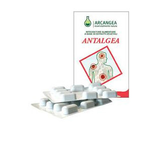 Antalgea 40 Capsule