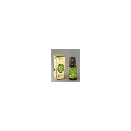 Lavanda Vera Olio Essenziale 10 ml