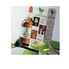 Betula Verrucosa 100ml mg