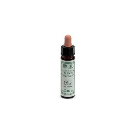 Ainsworths Olive 10ml