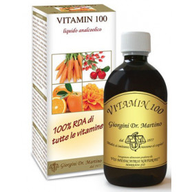 Vitamin 100 Liquido Analcoolico 500 ml