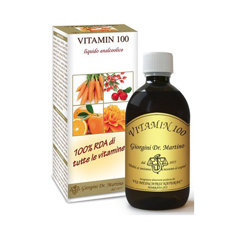 Vitamin 100 Liquido Analcoolico 500 ml