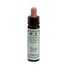 Ainsworths Beech 10ml