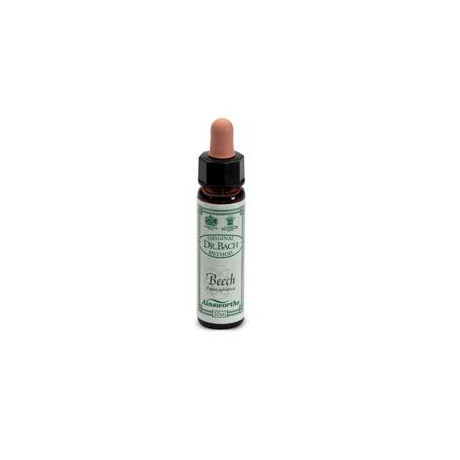 Ainsworths Beech 10ml