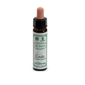 Ainsworths Cerato 10ml