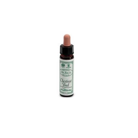 Ainsworths Chestnut Bud 10ml