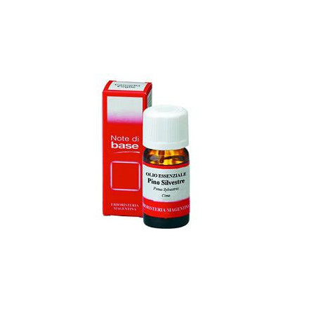 Pino Silv Olio Ess 10ml