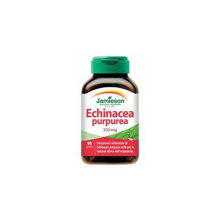 Echinacea Purp Jamieson 90 Capsule