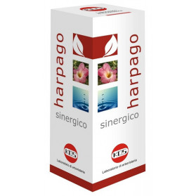 Harpago Sinergico Gocce 100 ml