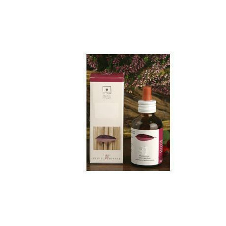 Betula Pubescens 50ml Stv