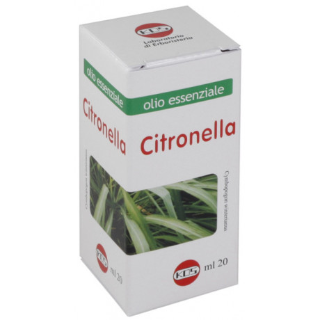 Citronella Olio Ess 20 ml