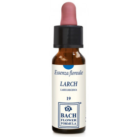 Larch Original 10ml Gocce