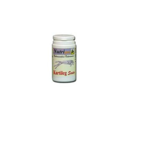 Kartileg Senior 60tav