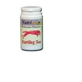 Kartileg Ft 30tav