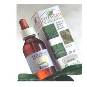 Ginkgo Biloba Foglie 100 ml Tintura Madre