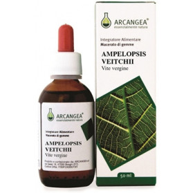 Ampelopsis Veitchii 50 ml Gemmoderivato