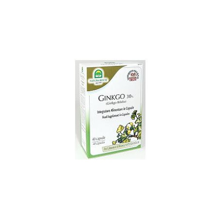 Ginkgo Biloba 40 Capsule