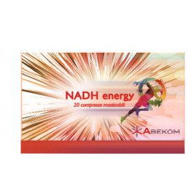 Nadh Energy 20 Compresse Masticabili 40 g