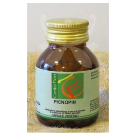 Picnopin 50 Capsule