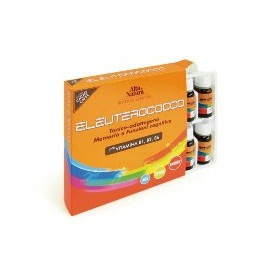 Eleuterocco Energetico Miele Limone 10 Flaconcini 10 ml