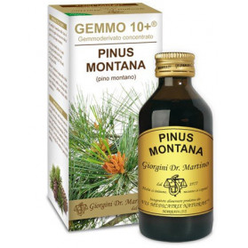 Pino Montano 100 ml Liquido Analcoolico Gemmo 10+