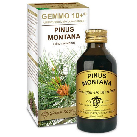 Pino Montano 100 ml Liquido Analcoolico Gemmo 10+