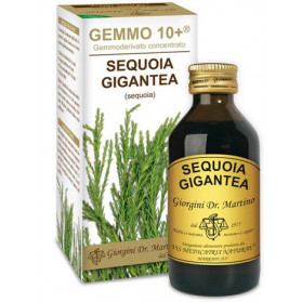 Sequoia 100 ml Liquido Analcoolico Gemmo 10+