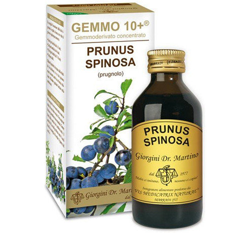 Prugnolo 100 ml Liquido Analcoolico Gemmo 10+