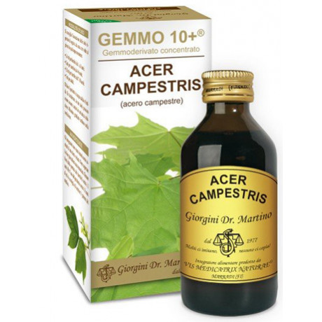 Acero Campestre 100 ml Liquido Analcoolico Gemmo 10+