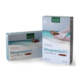 Magnesio B6 20 Ampolle Bevibili 15 ml