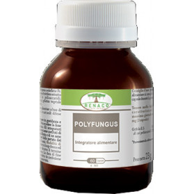Polyfunguss 60 Capsule 350 mg