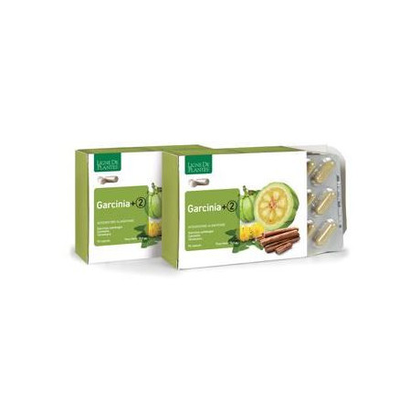 Garcinia + 2 90 Capsule