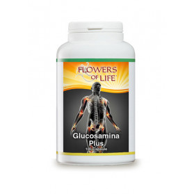 Glucosamina Plus 100 Capsule Flowers Of Life