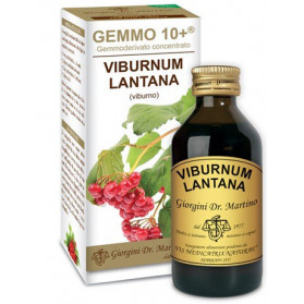 Viburno Liquido Analcoolico Gemmo 10+ 100 ml