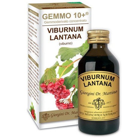 Viburno Liquido Analcoolico Gemmo 10+ 100 ml