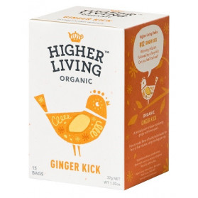 Ginger Kick Infuso Zenzero Limone 15 Filtri