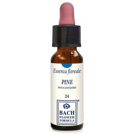 Pine Original 10ml Gocce