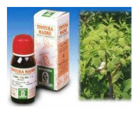 Angelica 55 50ml Tm