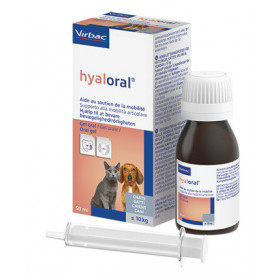 Hyaloral Gel Orale 50 ml